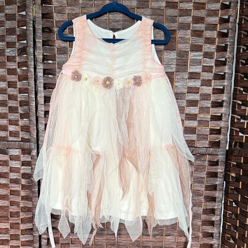 Biscotti Pink and Cream Floral girls Dress tulle fancy boutique 2T EUC